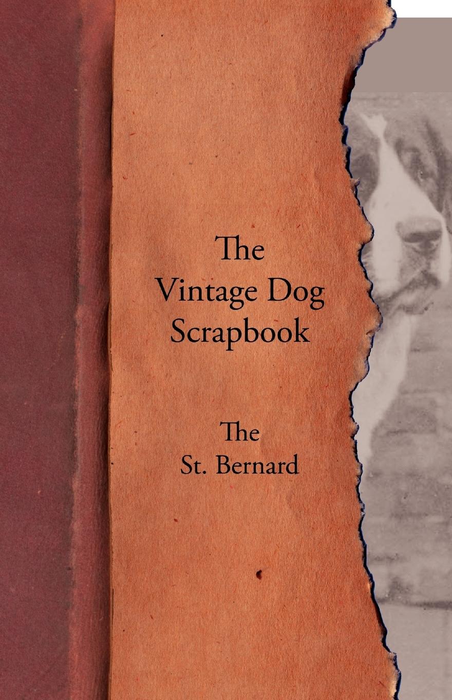 Vorderes Coverbild The Vintage Dog Scrapbook - The St. Bernard