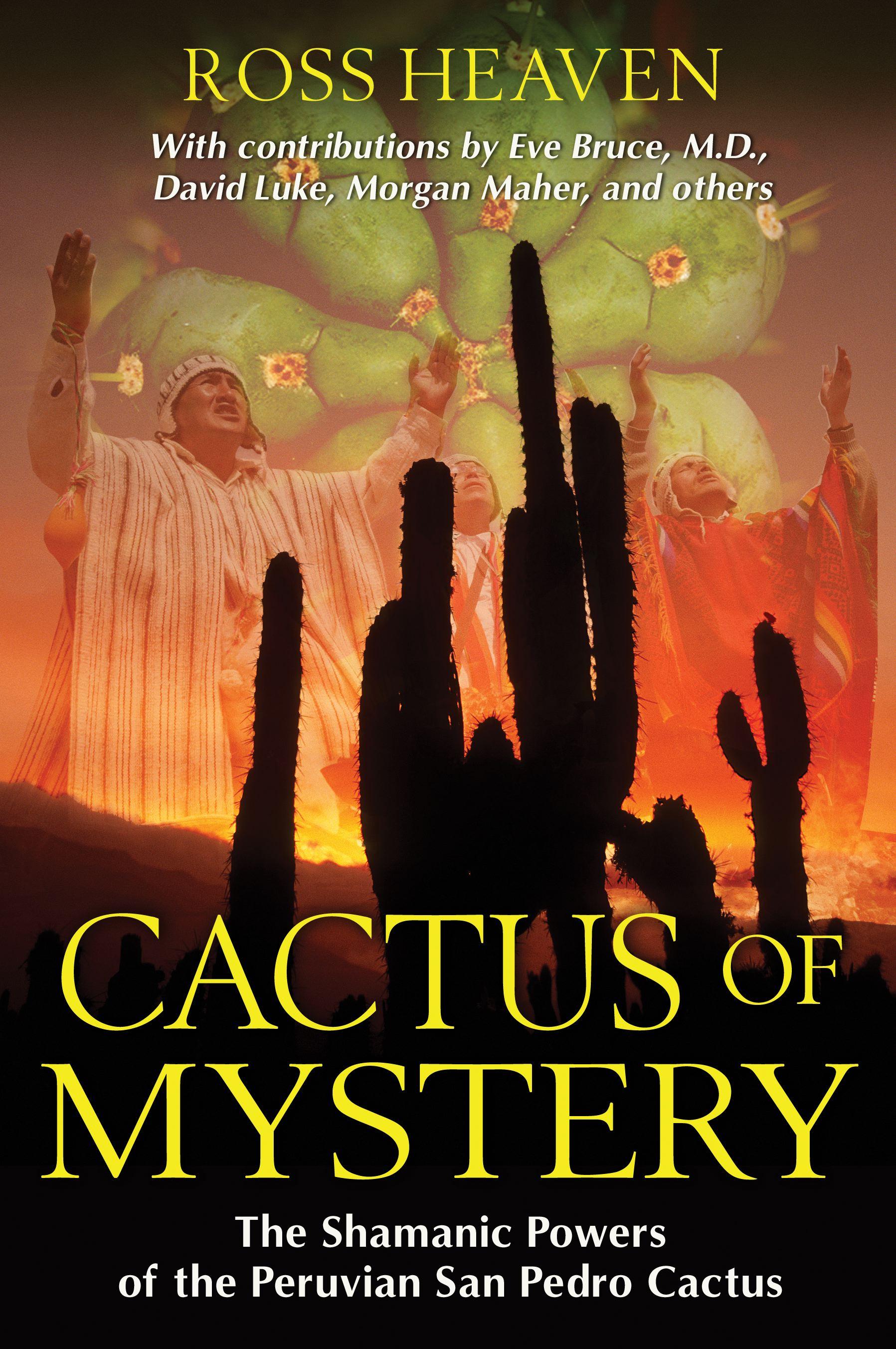 Vorderes Coverbild Cactus of Mystery