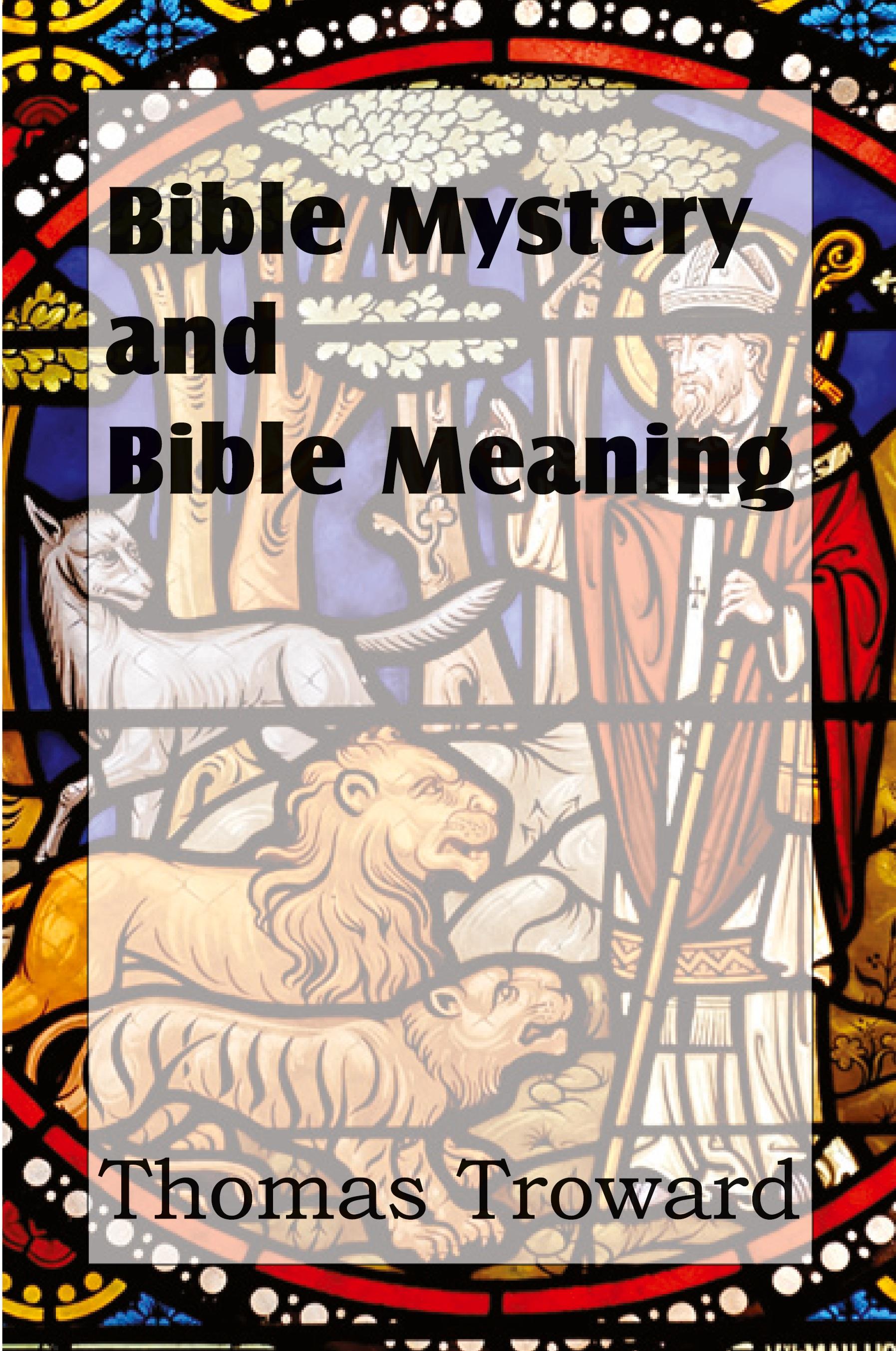 Vorderes Coverbild Bible Mystery and Bible Meaning