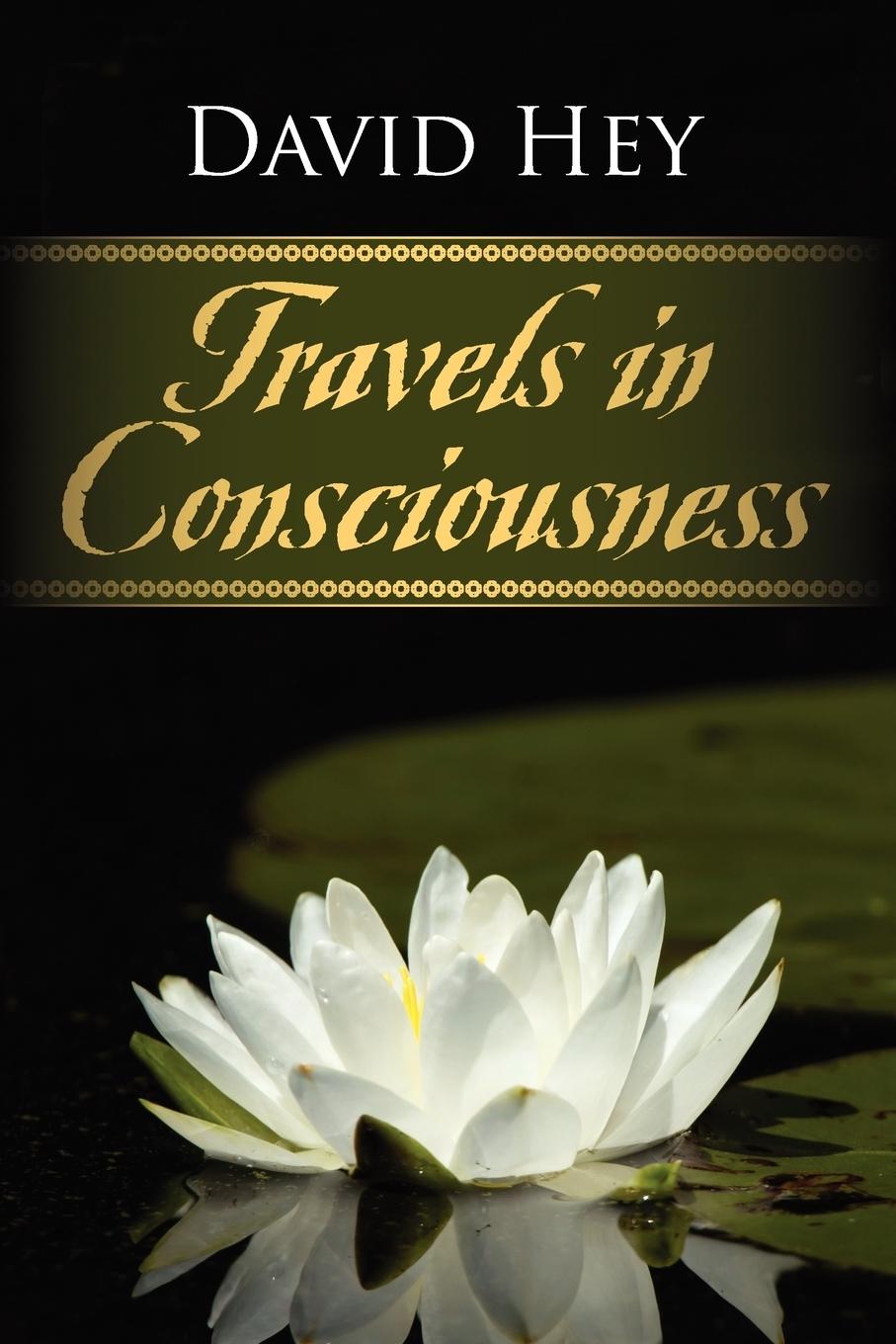 Vorderes Coverbild Travels in Consciousness