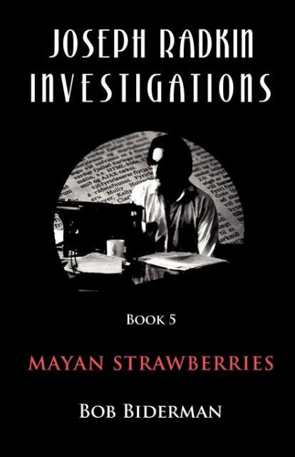 Vorderes Coverbild Joseph Radkin Investigations - Book 5