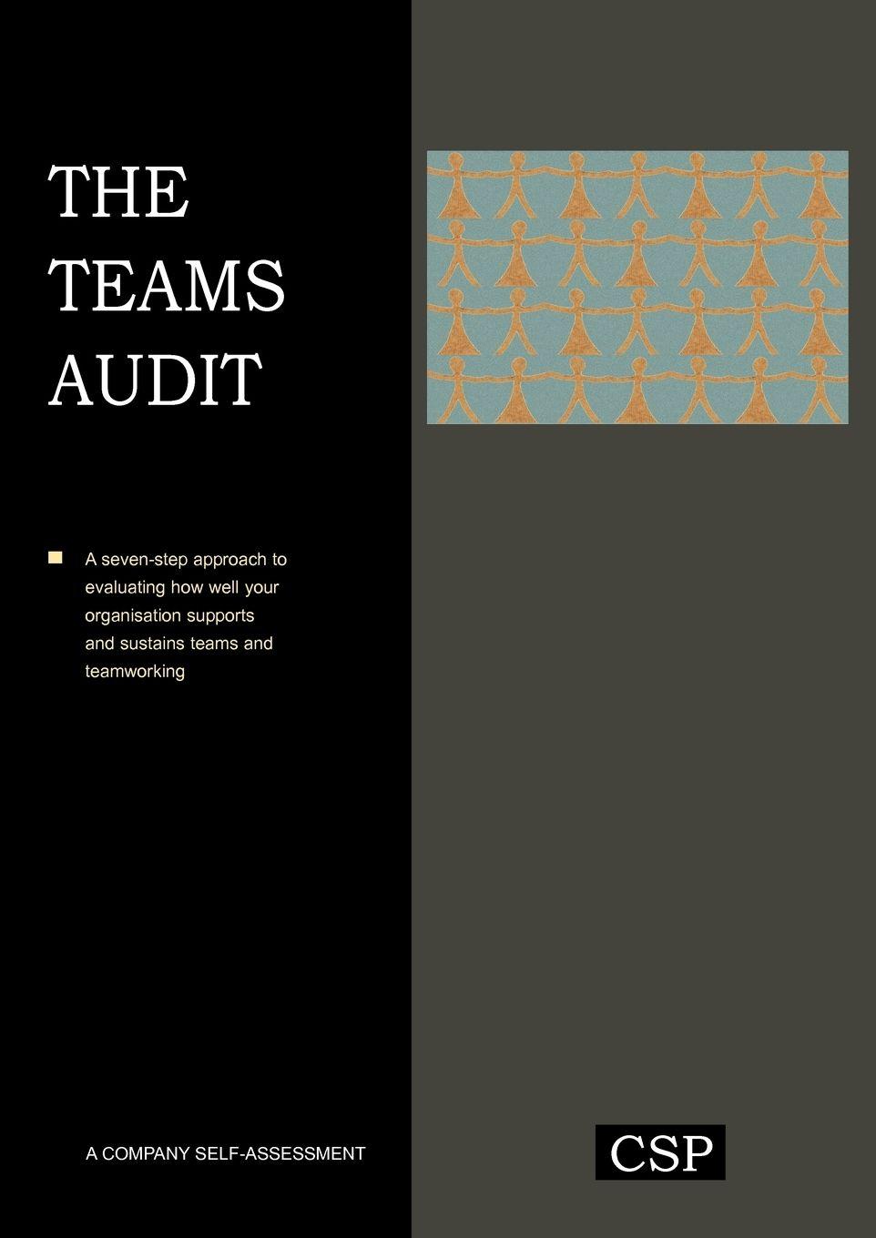 Vorderes Coverbild The Teams Audit