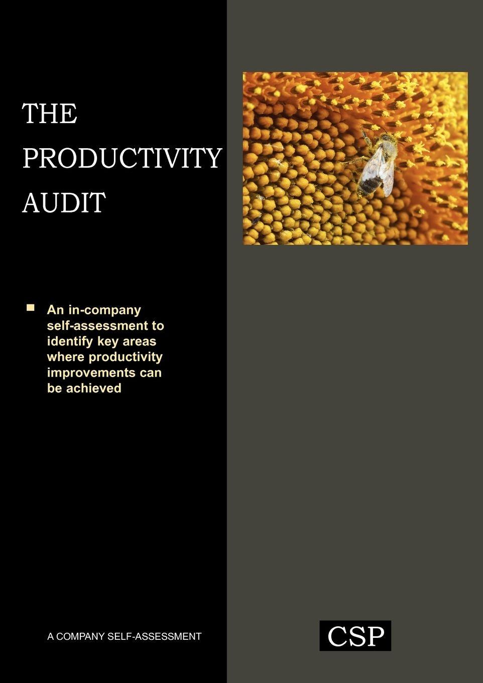 Vorderes Coverbild The Productivity Audit