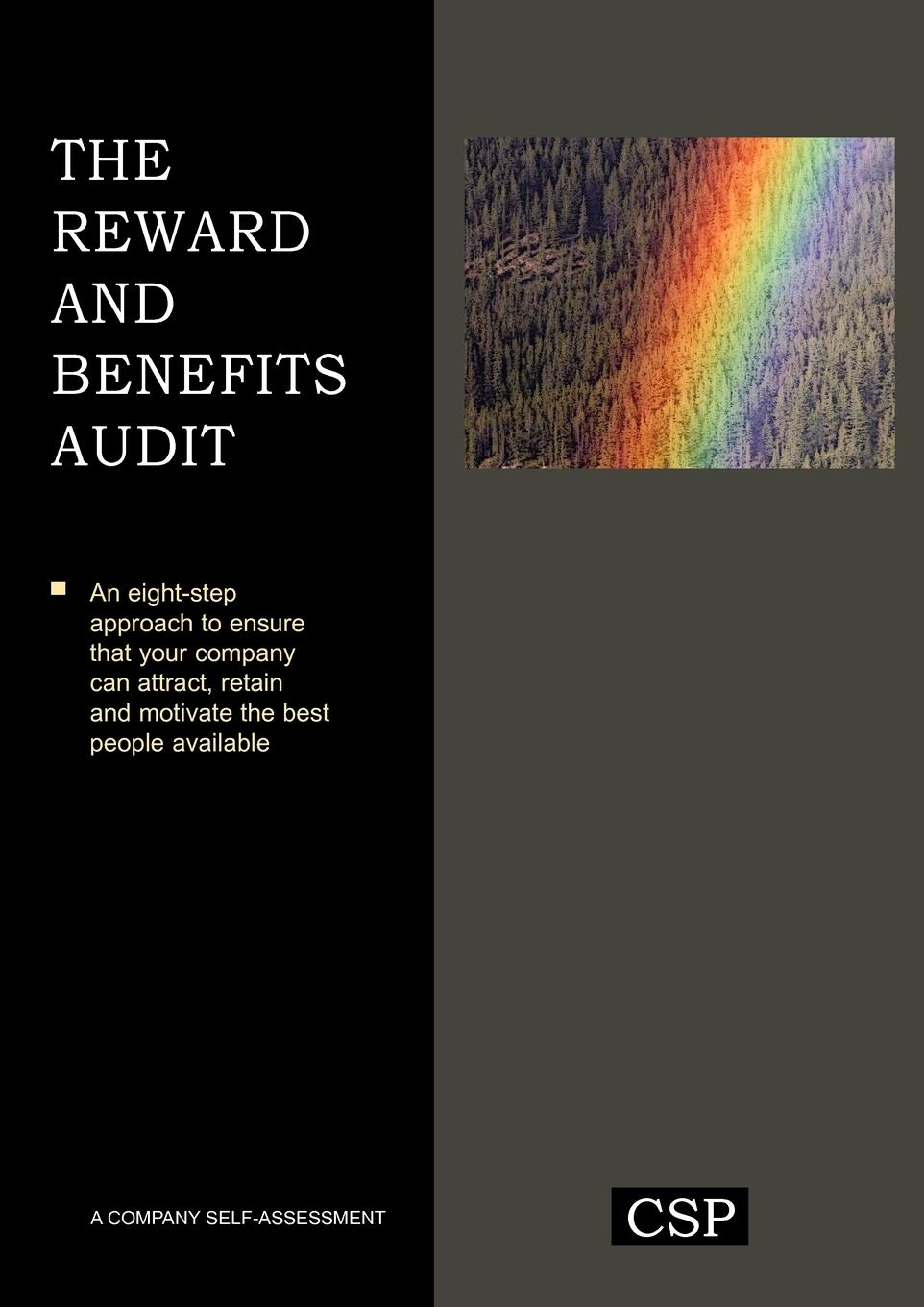 Vorderes Coverbild The Reward and Benefits Audit