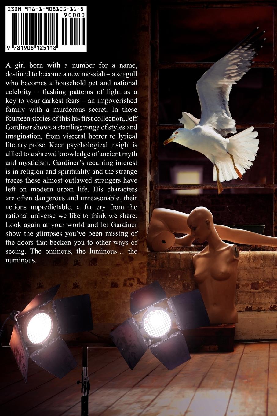 Rückseitencover A Glimpse of the Numinous (Paperback)