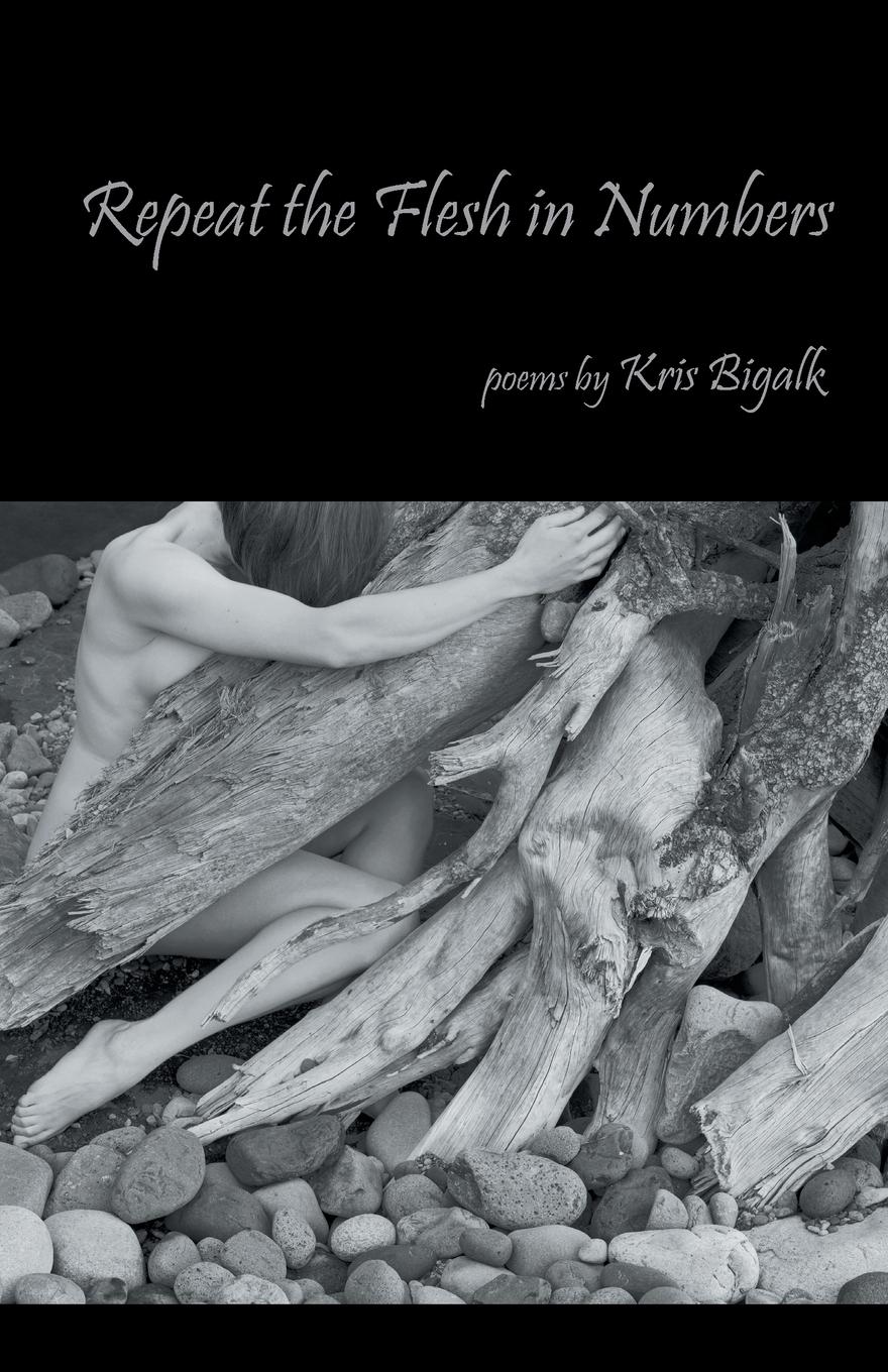Vorderes Coverbild Repeat the Flesh in Numbers
