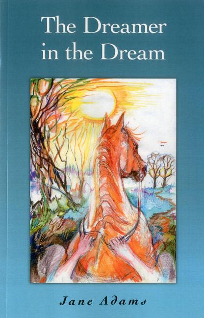 Vorderes Coverbild The Dreamer in the Dream