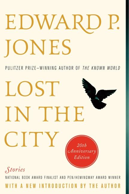Vorderes Coverbild Lost in the City - 20th Anniversary Edition