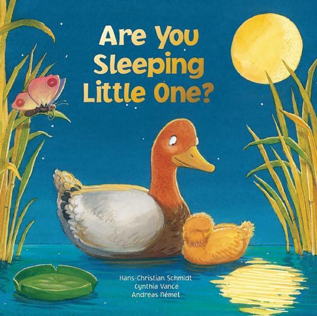 Vorderes Coverbild Are You Sleeping Little One?