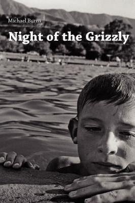Vorderes Coverbild Night of the Grizzly