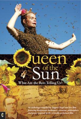 Vorderes Coverbild Queen of the Sun