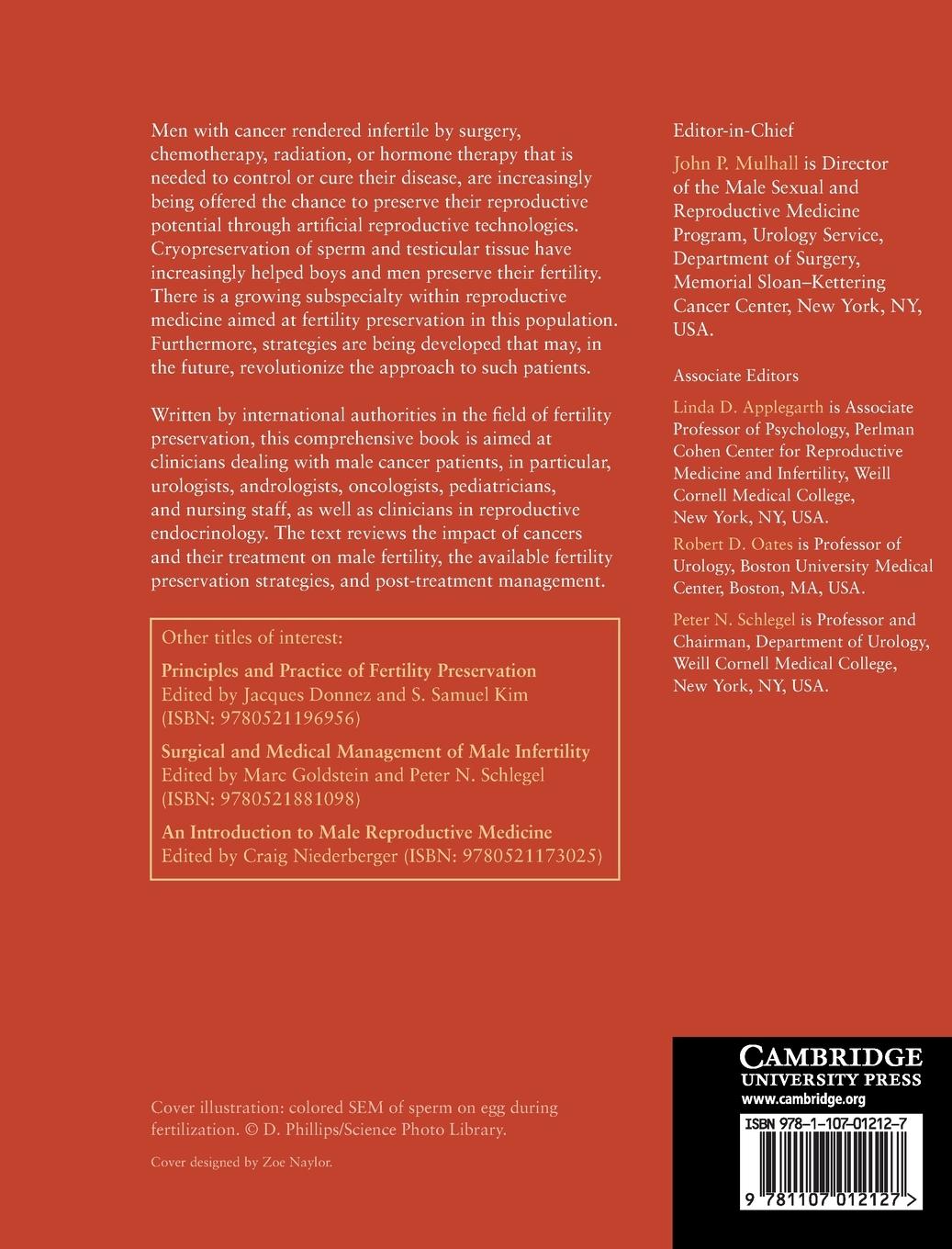 Rückseitencover Fertility Preservation in Male Cancer Patients