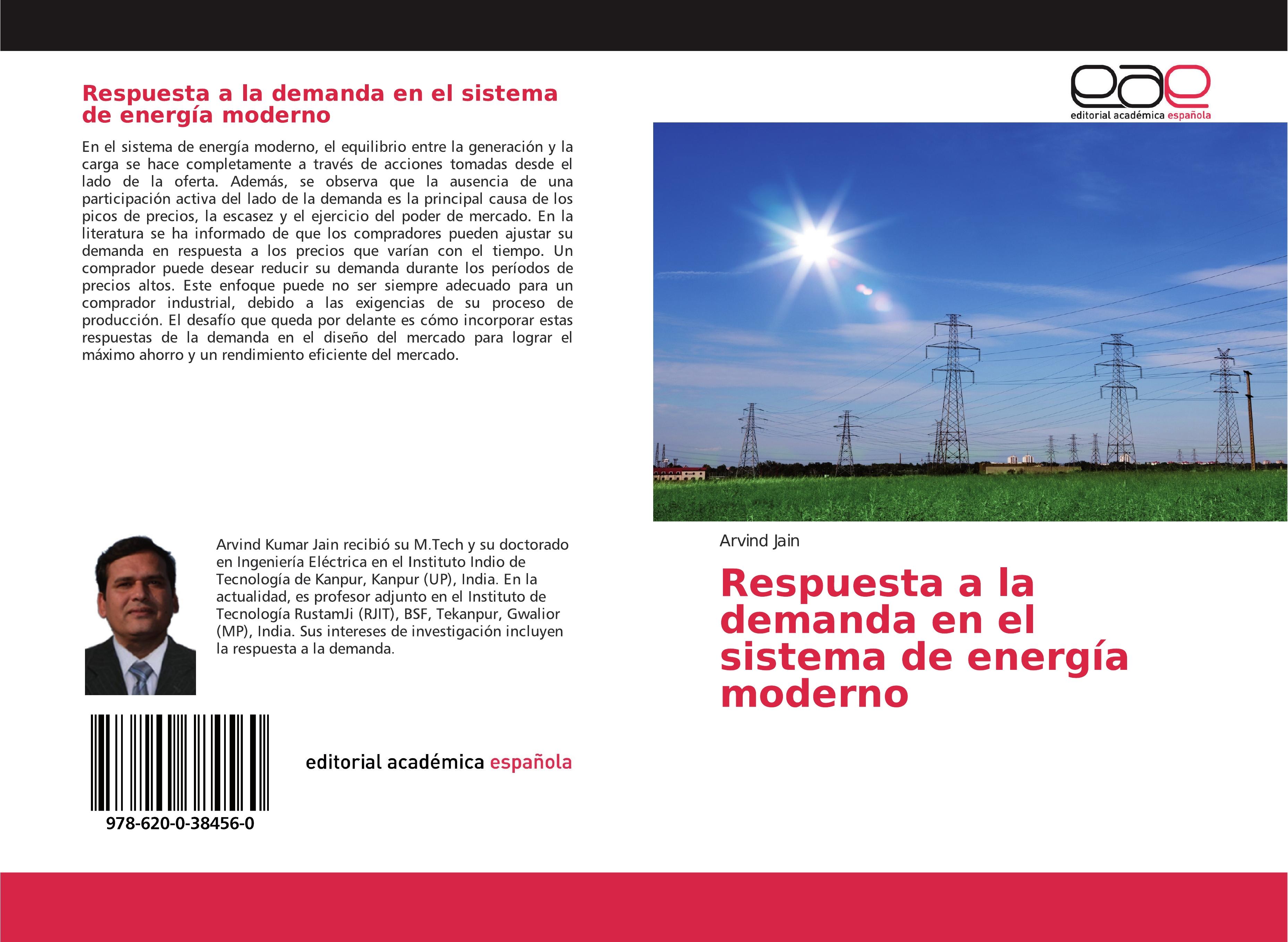 Vorderes Coverbild Respuesta a la demanda en el sistema de energía moderno
