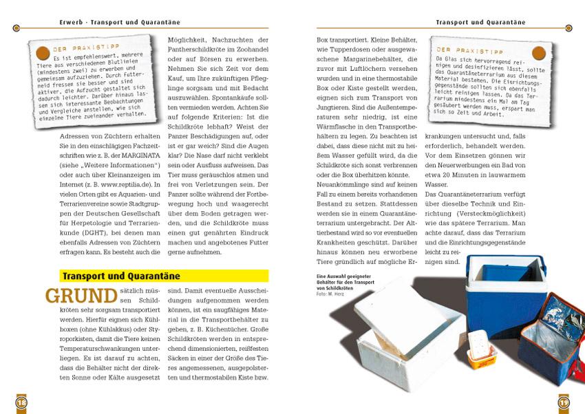 Beispielinhalt (Bild) Die Pantherschildkröte