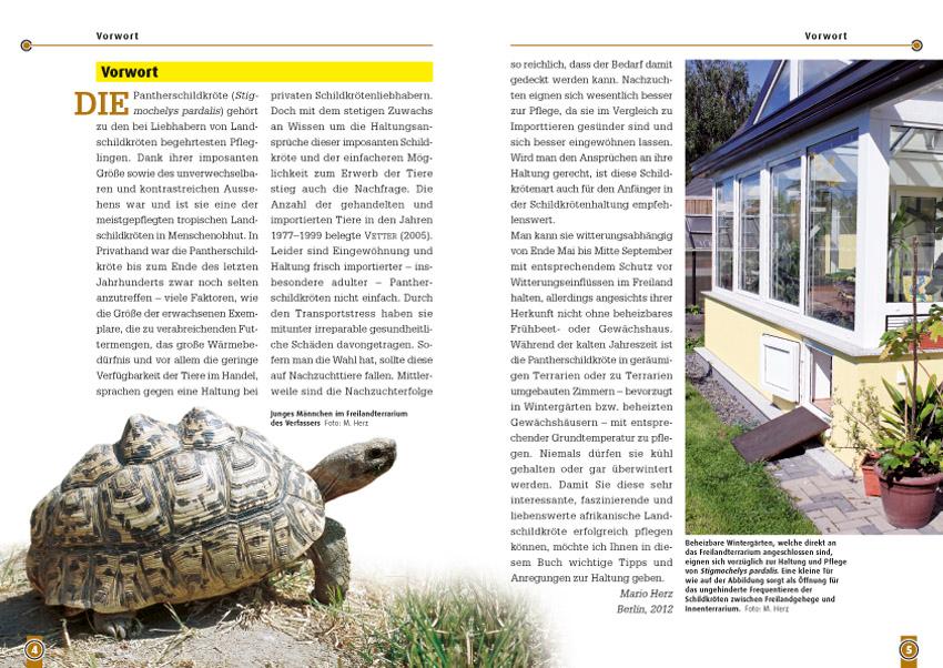 Beispielinhalt (Bild) Die Pantherschildkröte