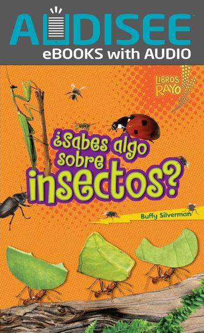 Vorderes Coverbild ¿Sabes Algo Sobre Insectos? (Do You Know about Insects?)