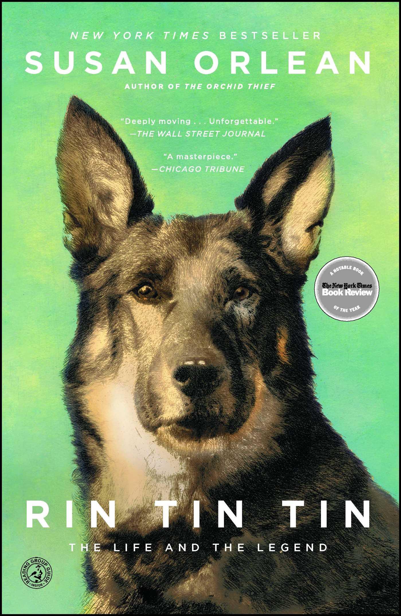 Vorderes Coverbild Rin Tin Tin