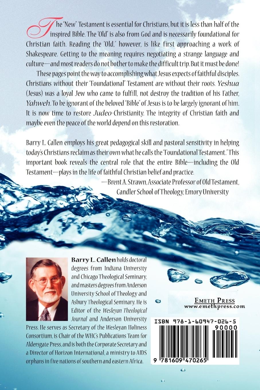 Rückseitencover Beneath the Surface, Reclaiming the Old Testament for Today's Christians