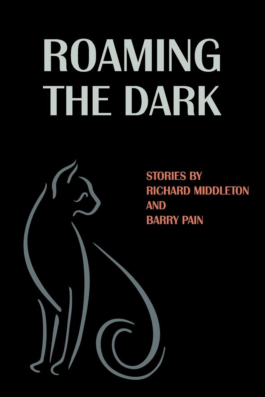 Vorderes Coverbild Roaming the Dark