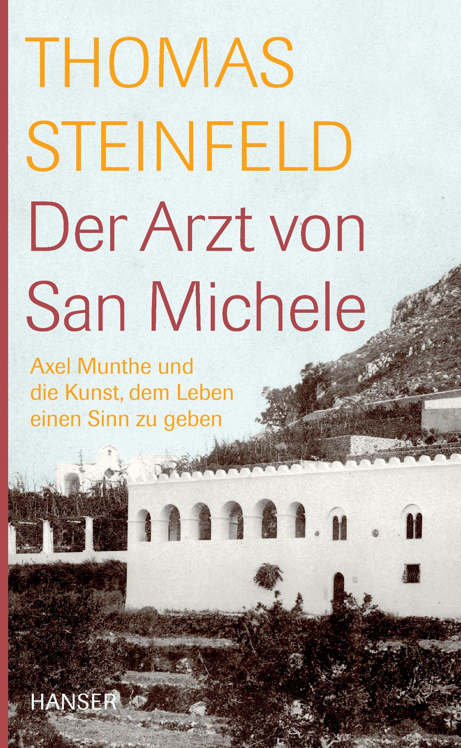 Vorderes Coverbild Der Arzt von San Michele