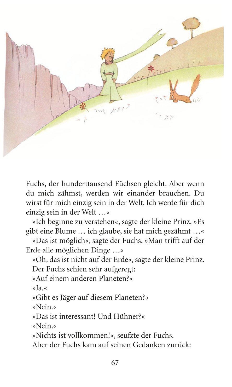 Beispielinhalt (Bild) Der Kleine Prinz