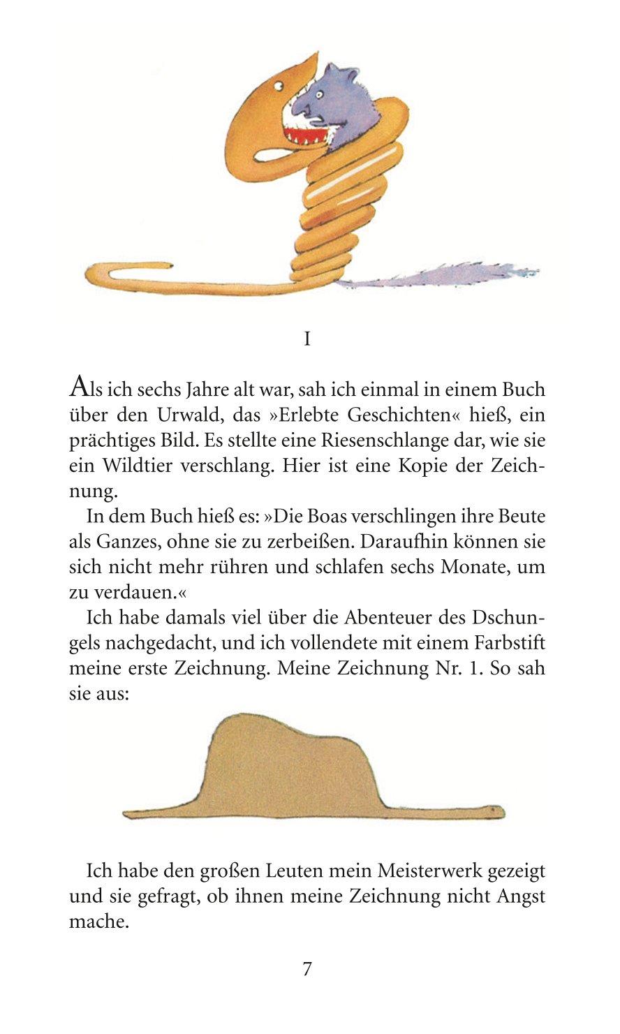 Beispielinhalt (Bild) Der Kleine Prinz