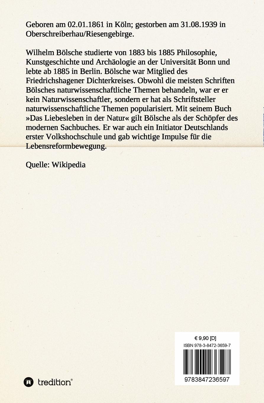 Rückseitencover Drachen