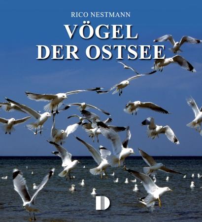 Vorderes Coverbild Vögel der Ostsee