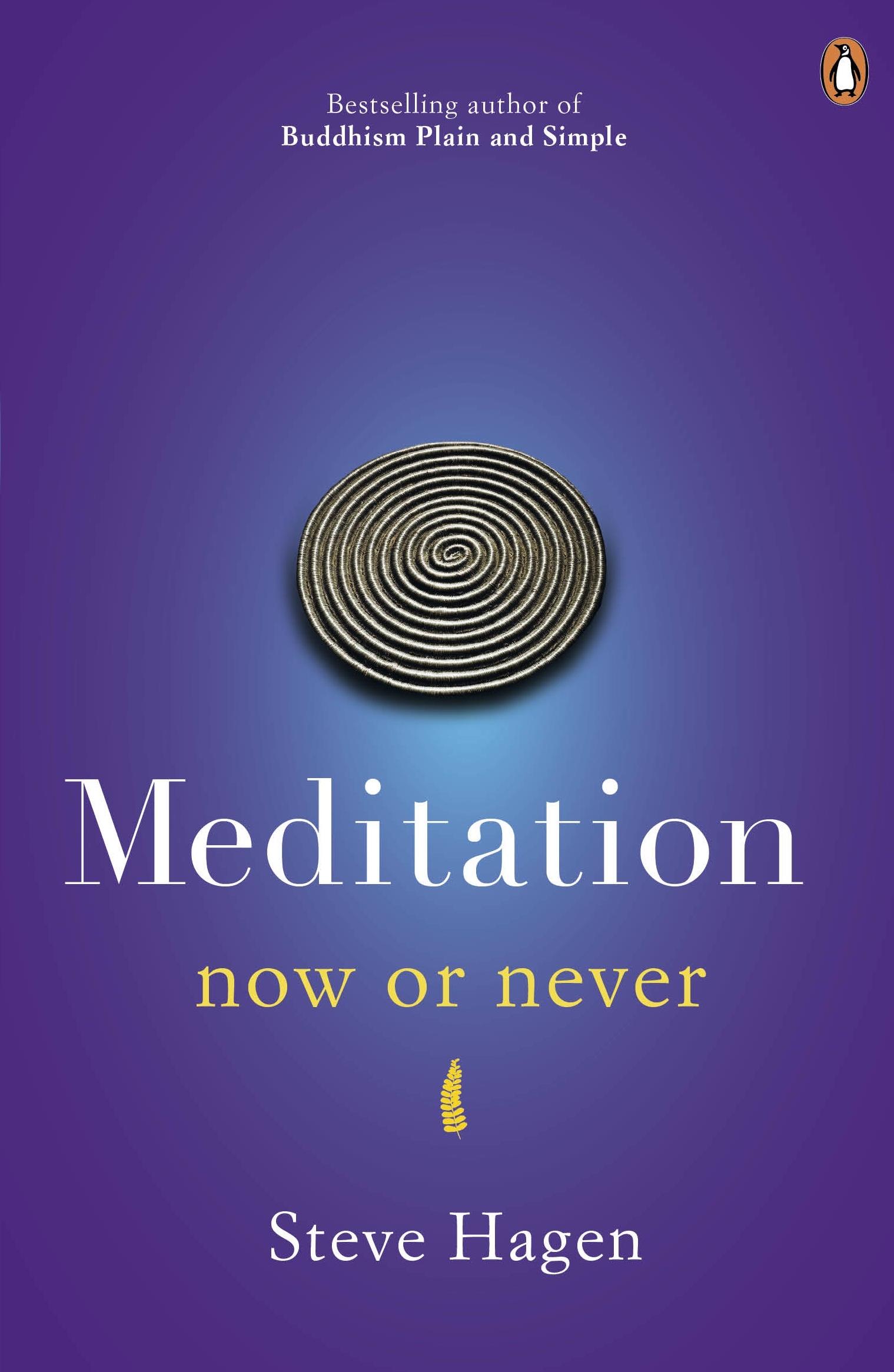 Vorderes Coverbild Meditation Now or Never