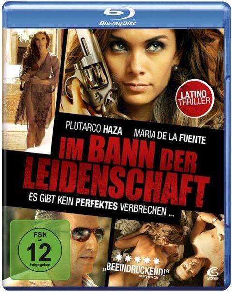 Vorderes Coverbild Im Bann der Leidenschaft