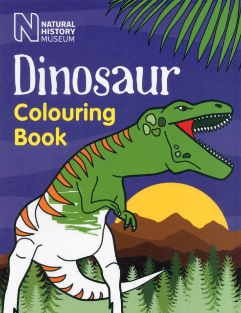 Vorderes Coverbild Dinosaur Colouring Book