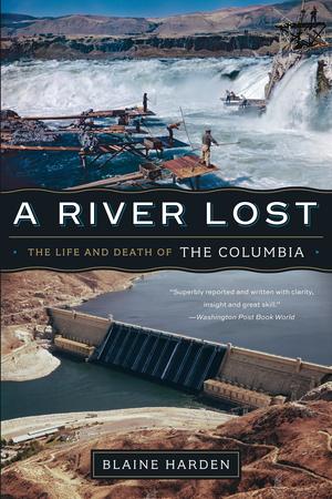 Vorderes Coverbild A River Lost