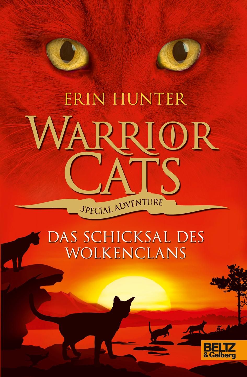 Vorderes Coverbild Warrior Cats - Special Adventure. Das Schicksal des WolkenClans
