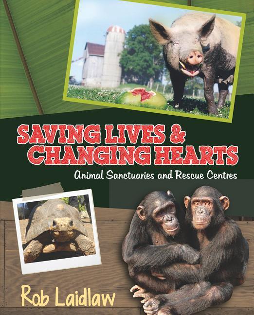 Vorderes Coverbild Saving Lives and Changing Hearts