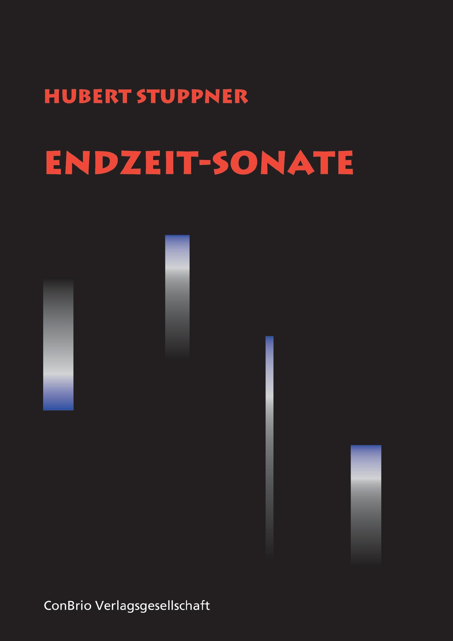 Vorderes Coverbild Endzeit-Sonate