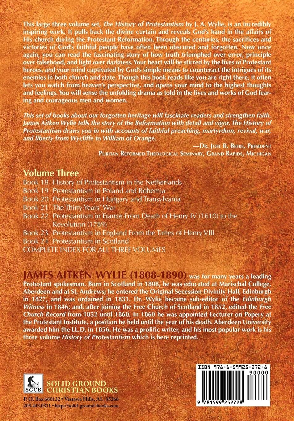 Rückseitencover The History of Protestantism