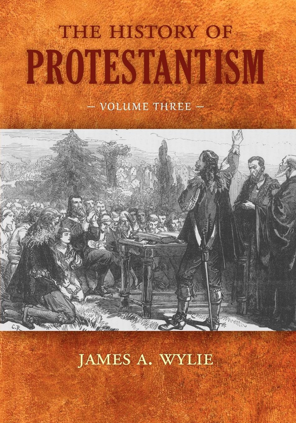 Vorderes Coverbild The History of Protestantism