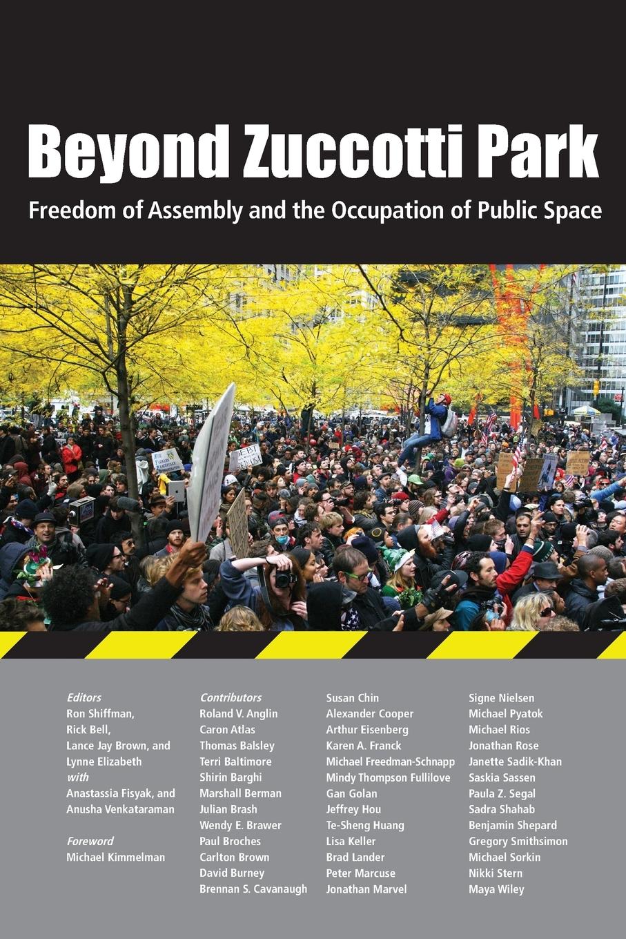 Vorderes Coverbild Beyond Zuccotti Park: Freedom of Assembly and the Occupation of Public Space