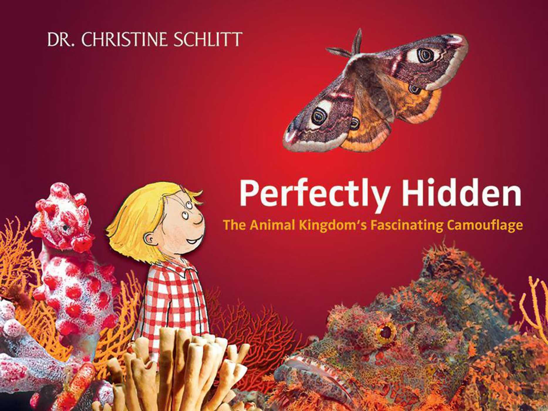 Vorderes Coverbild Perfectly Hidden