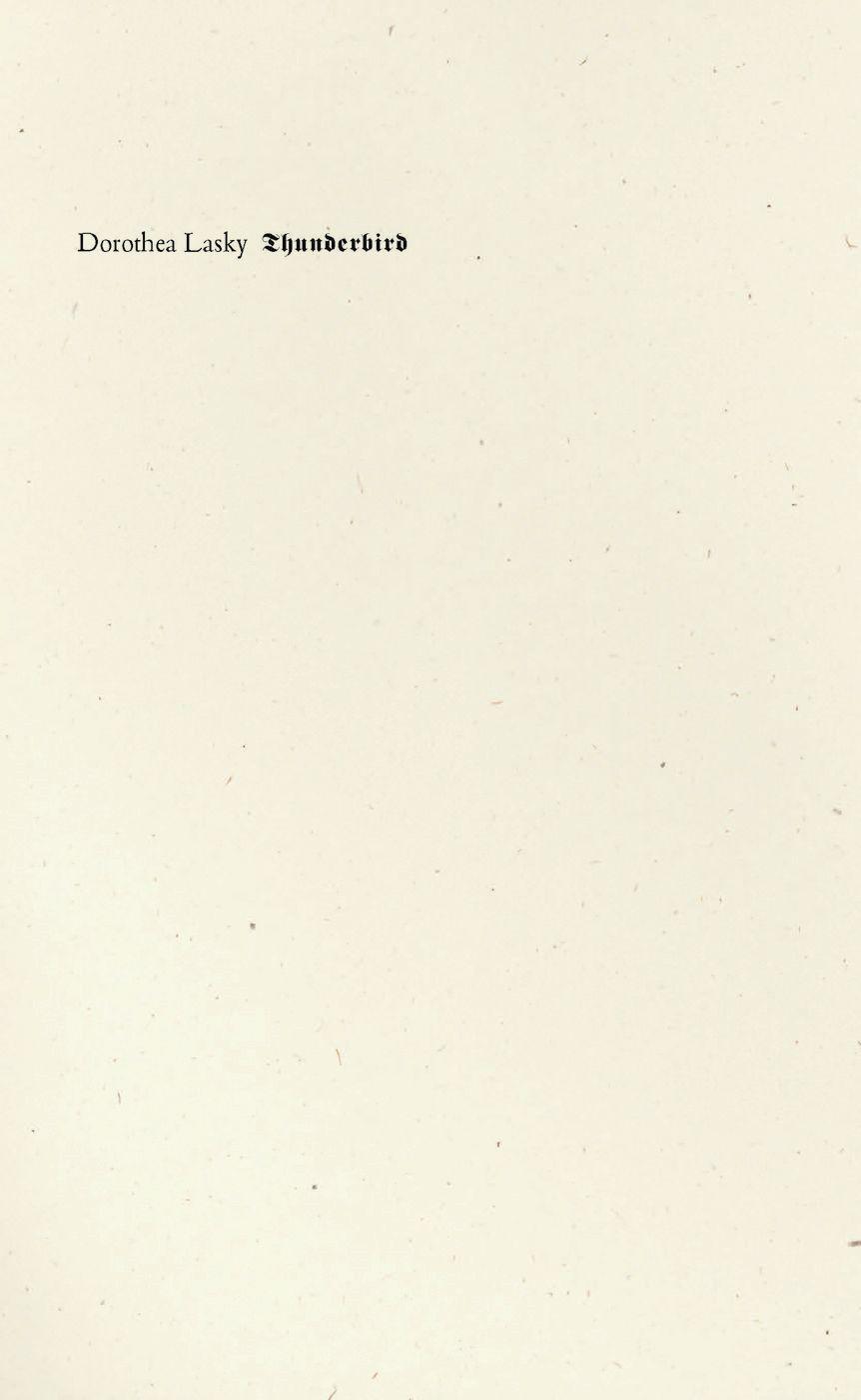 Vorderes Coverbild Thunderbird