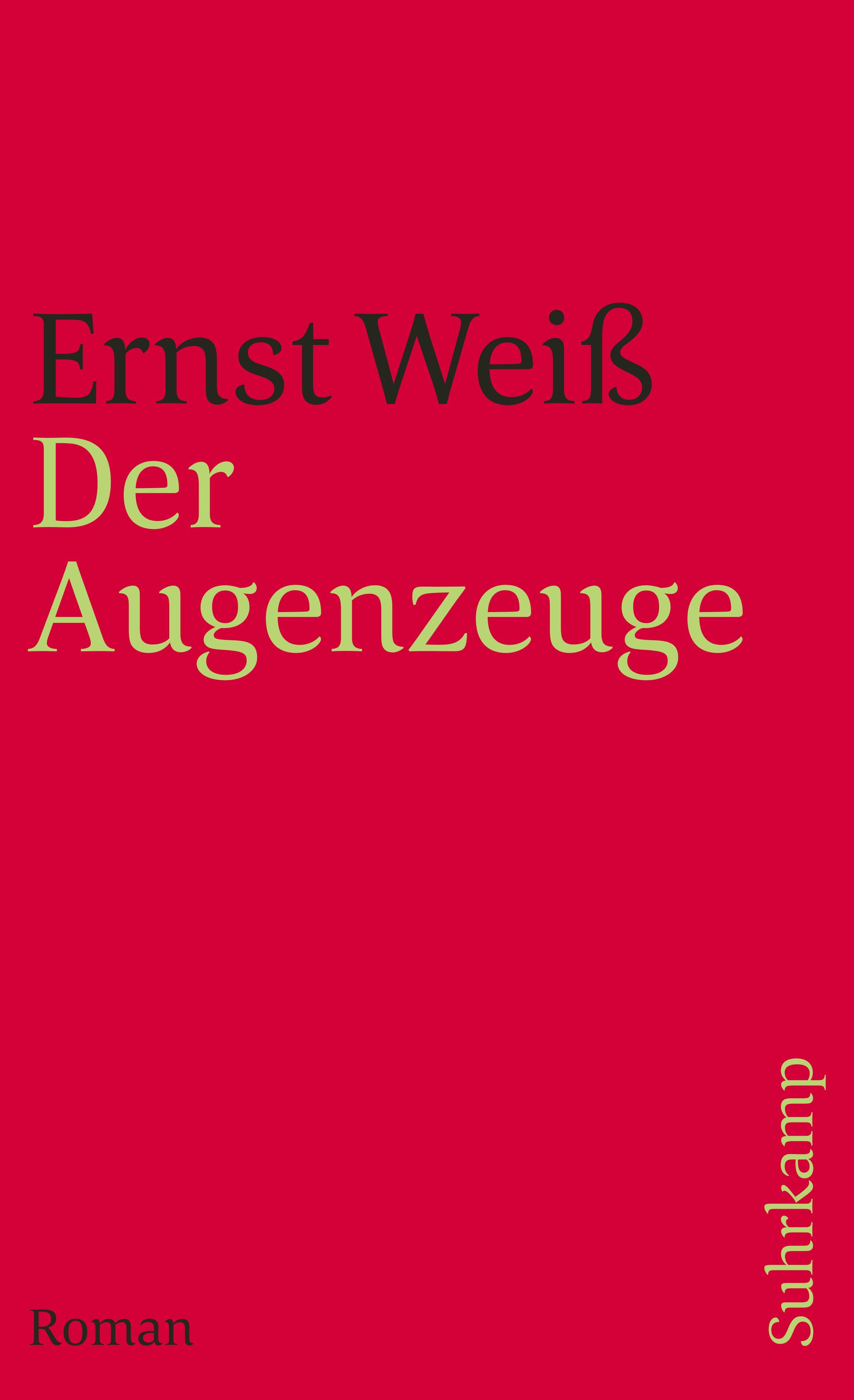 Vorderes Coverbild Der Augenzeuge