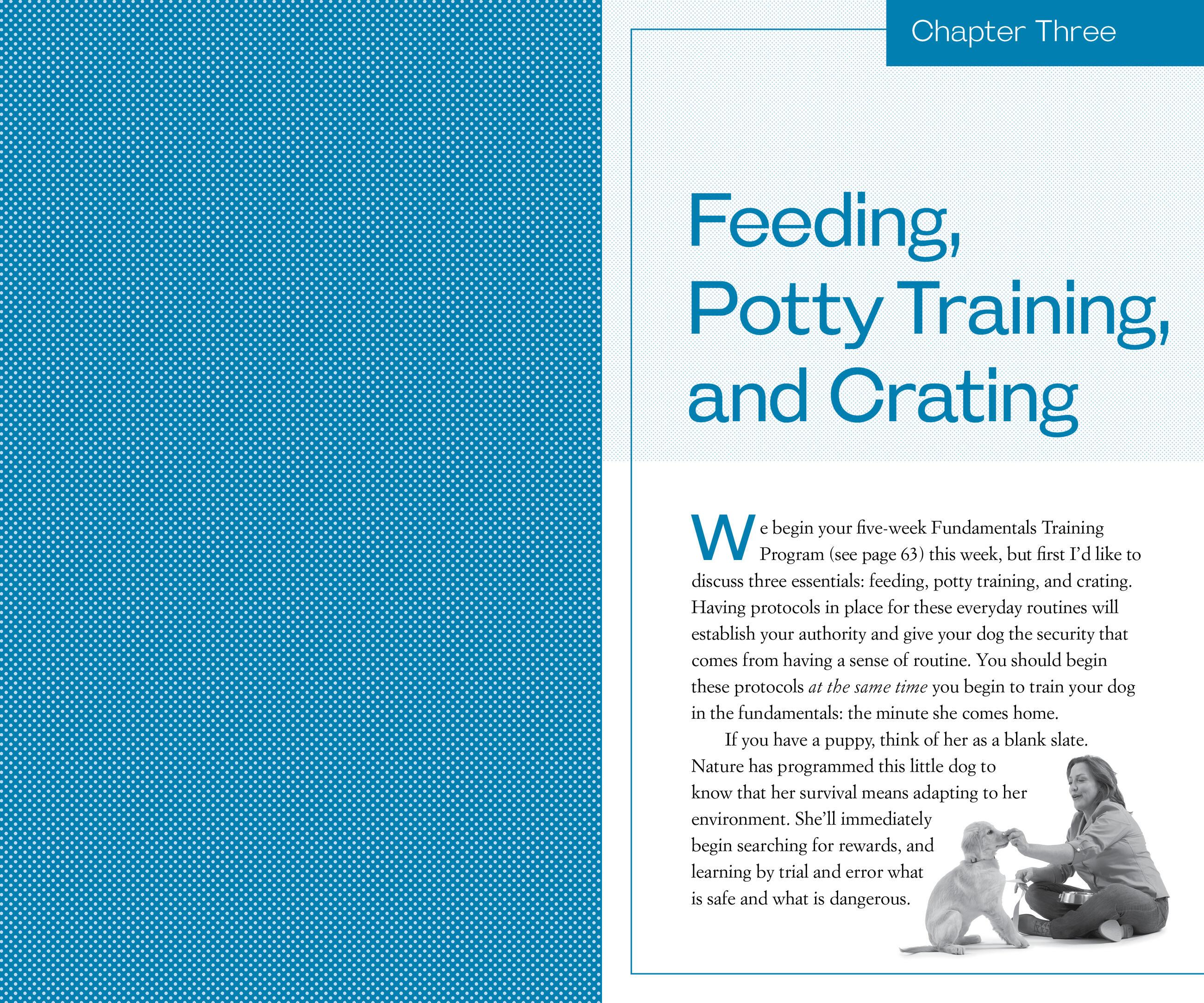 Beispielinhalt (Bild) Training the Best Dog Ever