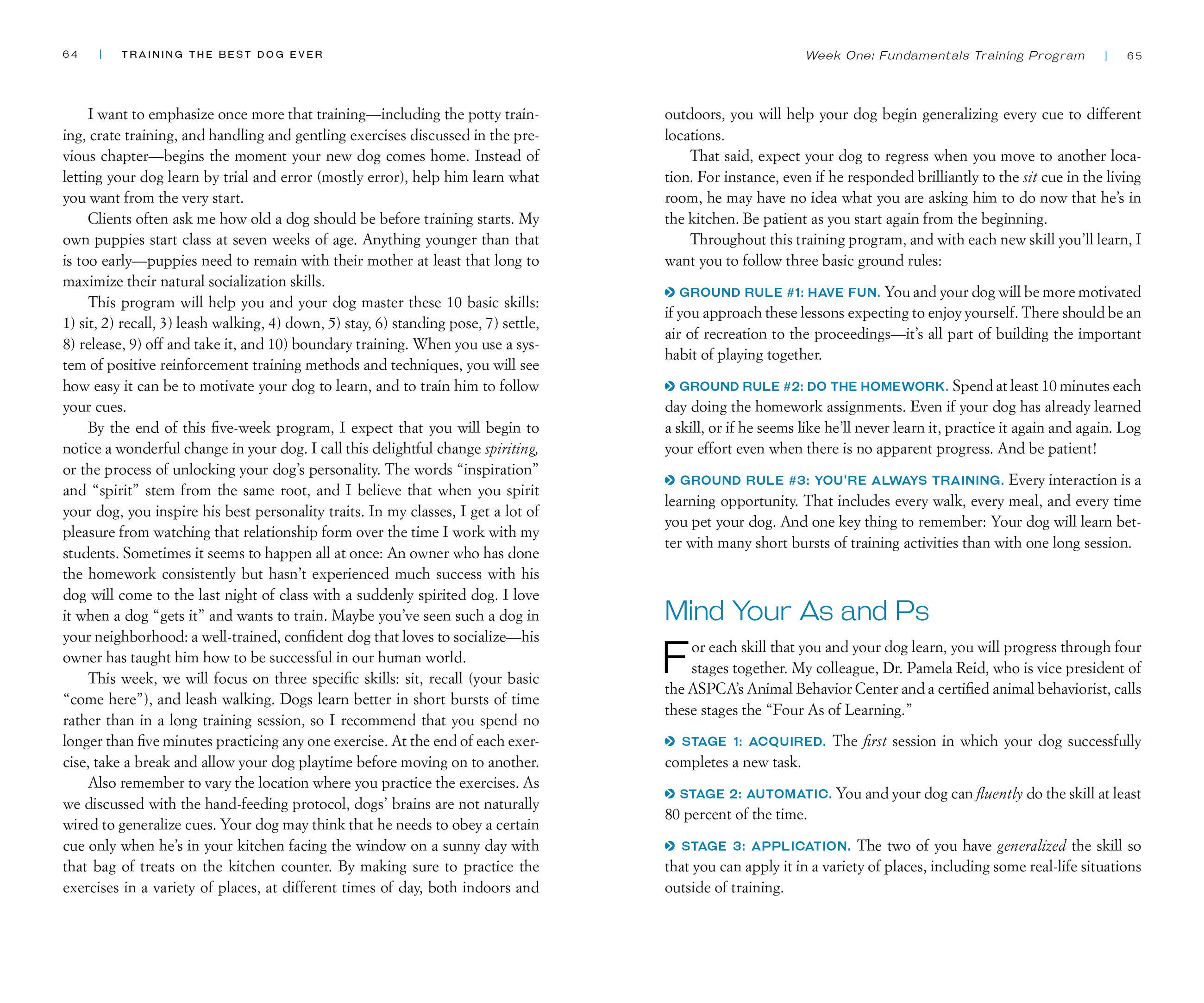 Beispielinhalt (Bild) Training the Best Dog Ever