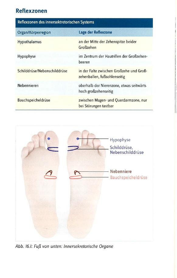 Beispielinhalt (Bild) Fußreflexzonentherapie