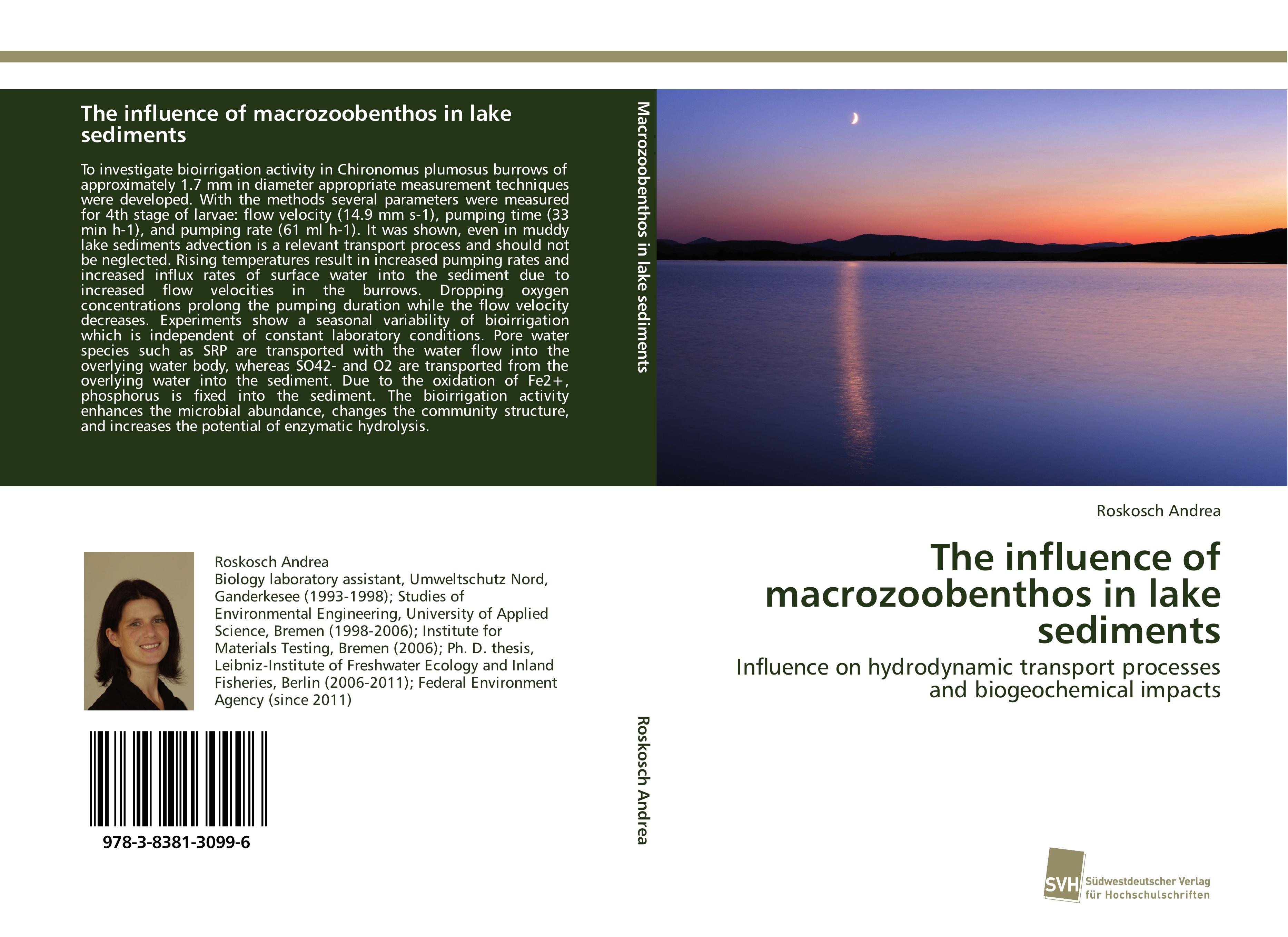 Vorderes Coverbild The influence of macrozoobenthos in lake sediments