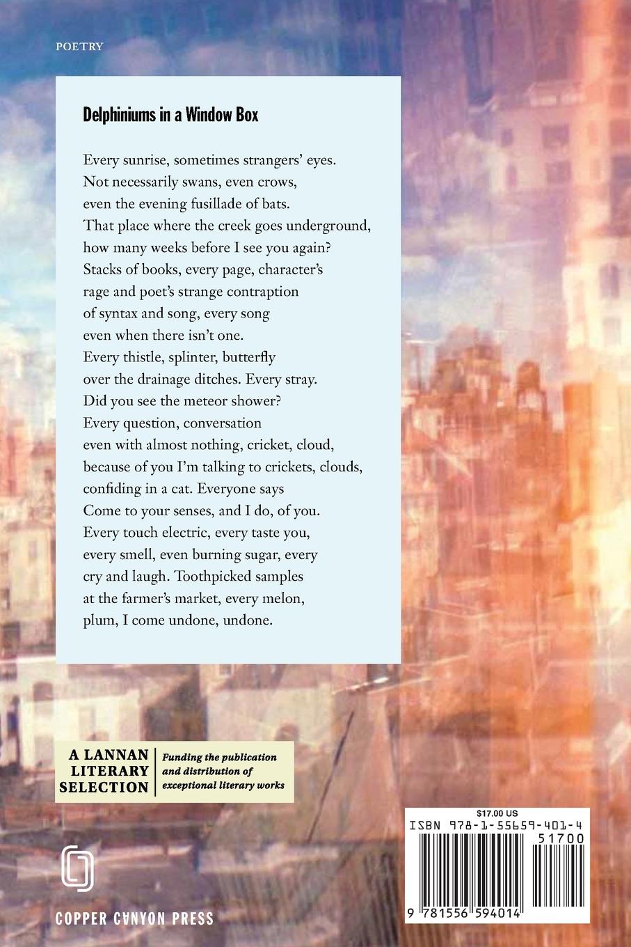 Rückseitencover Fall Higher