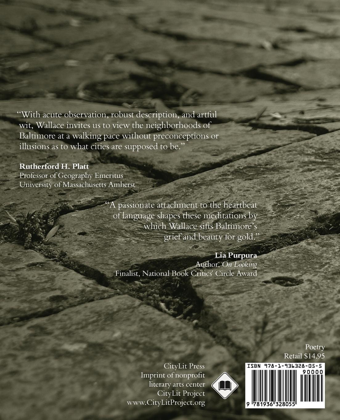 Rückseitencover It Can Be Solved by Walking