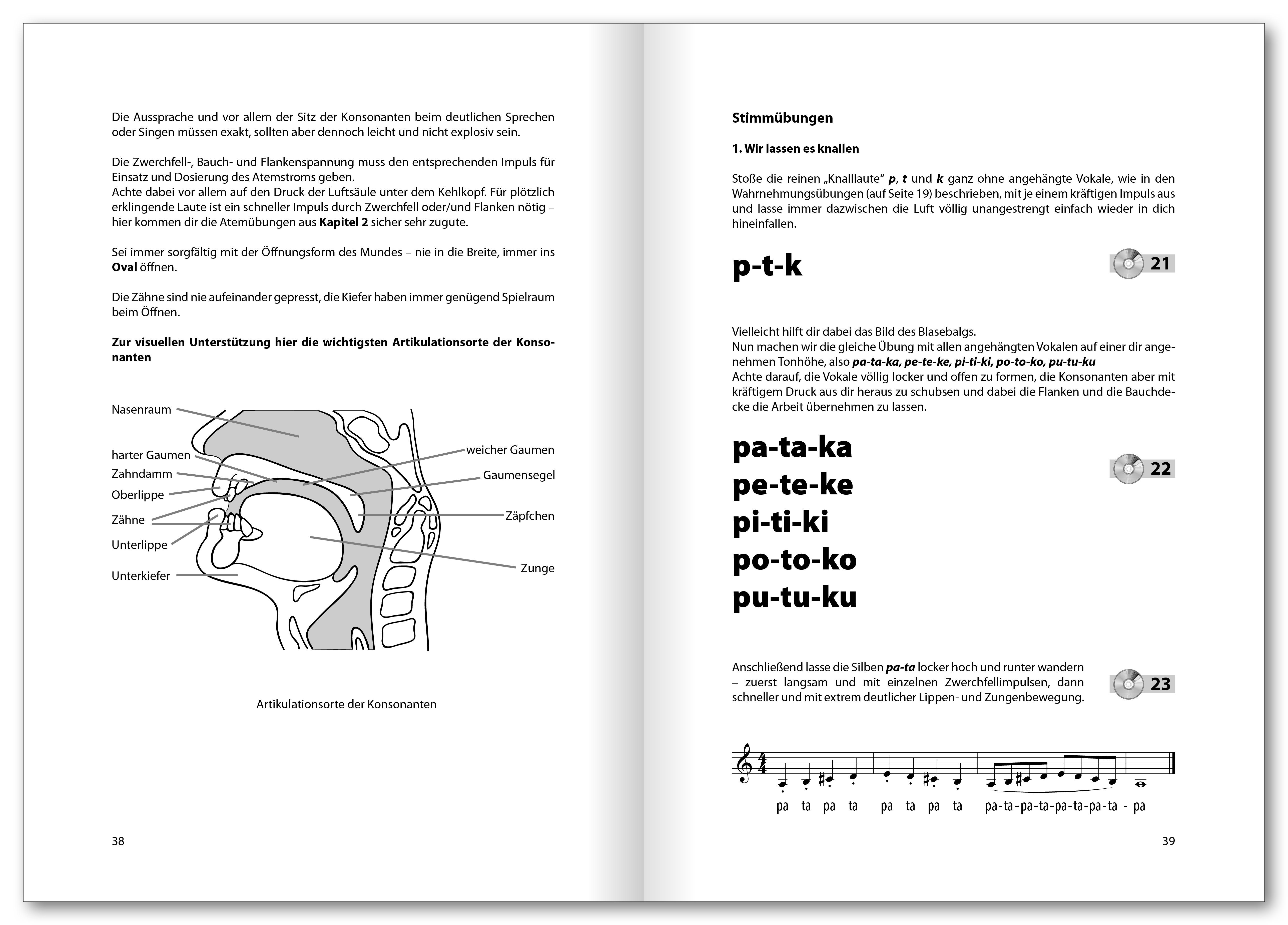 Beispielinhalt (Bild) Voice Basics