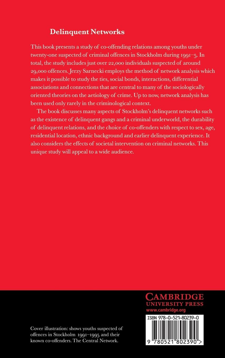 Rückseitencover Delinquent Networks