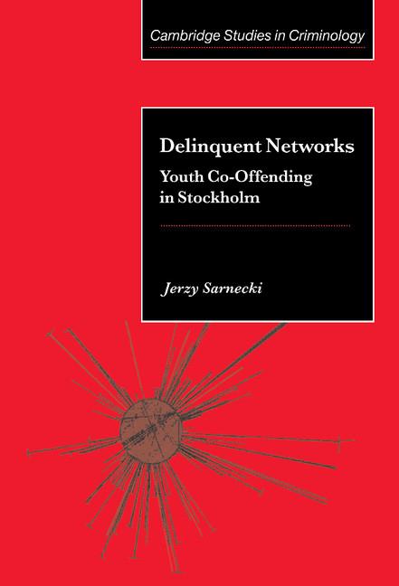 Vorderes Coverbild Delinquent Networks